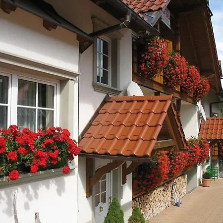 Timjana Appartement *