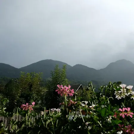 Apartmán Timjana Bohinj