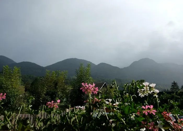 Διαμέρισμα Timjana Bohinj